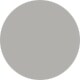 Matte Silver