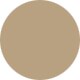 Matte Pale Gold