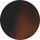 Havana/Transparent Brown