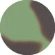 Havana Green