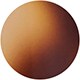 Tortoise Tan