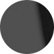 Shiny Black