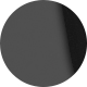 Shiny Black