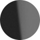 Shiny Black