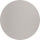 Shiny Transparent Grey