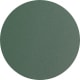 Matte Transparent Dark Green