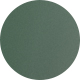 Matte Transparent Dark Green