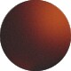 Tortoise Dark Brown