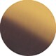 Tortoise/Gold