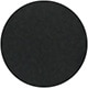 Shiny Black
