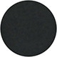 Shiny Black