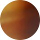 Havana Brown On Gold