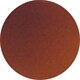 Tortoiseshell