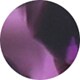 Purple / Gold