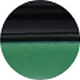 Shiny Black Green