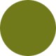 Transparent Olive