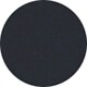 Shiny Black