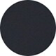 Shiny Black