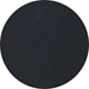 Shiny Black