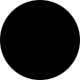 Shiny Black