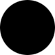 Shiny Black
