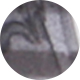 Grey/Crystal