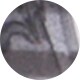 Grey/Crystal