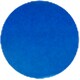 Shiny Dark Blue