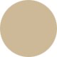 Shiny Pale Gold