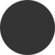 Black Shiny