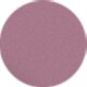 Transparent Purple